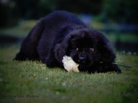 /album/fotogalerij1/marielle-5-jpg/